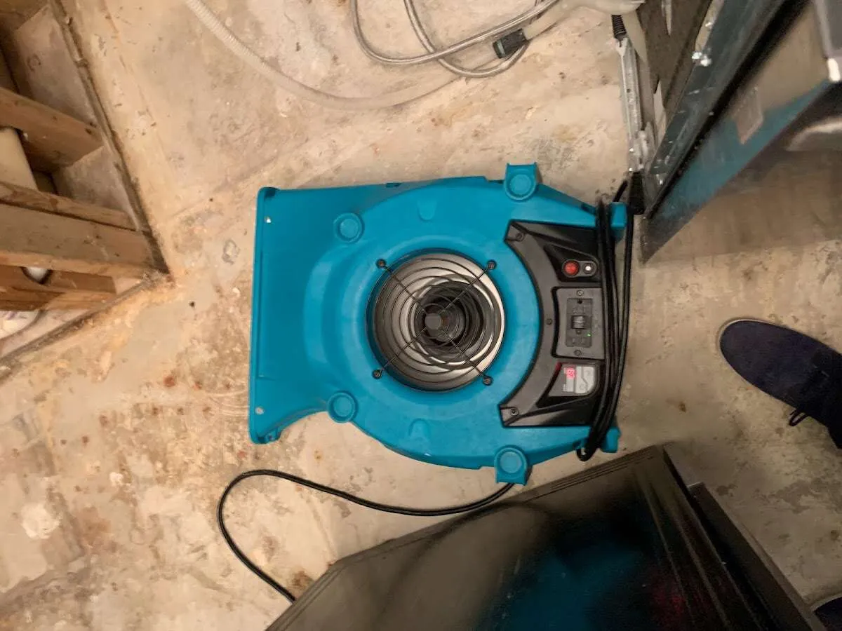 Air mover drying equipment for Mold Remediation & Removal in Moultonborough
